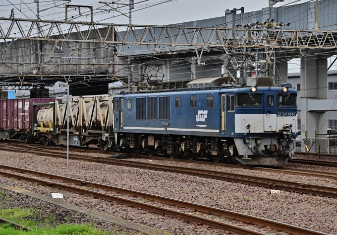 JR貨物 EF64形電気機関車 EF64-1046 鉄道フォト・写真 by m433さん 笠寺駅：2020年11月02日09時ごろ