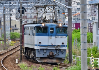 JR貨物 EF65形電気機関車 EF65-2050 鉄道フォト・写真 by m433さん 枇杷島駅 (JR)：2020年05月21日10時ごろ
