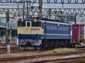 JR貨物 EF65形電気機関車 EF65-2066 鉄道フォト・写真 by m433さん 笠寺駅：2019年09月24日10時ごろ