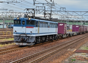 JR貨物 EF65形電気機関車 EF65-2066 鉄道フォト・写真 by m433さん 稲沢駅：2016年11月30日11時ごろ