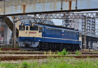 JR貨物 EF65形電気機関車 EF65-2068 鉄道フォト・写真 by m433さん 笠寺駅：2020年05月26日10時ごろ
