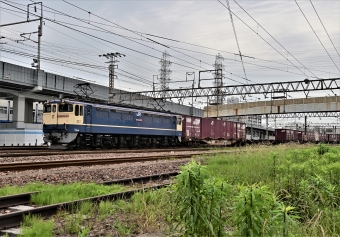 JR貨物 EF65形電気機関車 EF65-2065 鉄道フォト・写真 by m433さん 笠寺駅：2021年05月24日10時ごろ