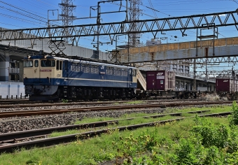 JR貨物 EF65形電気機関車 EF65-2067 鉄道フォト・写真 by m433さん 笠寺駅：2020年11月23日10時ごろ