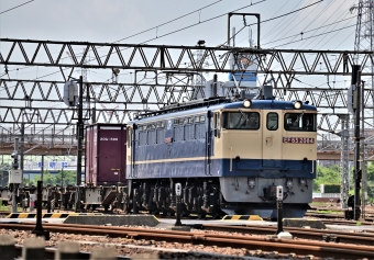 JR貨物 EF65形電気機関車 EF65-2084 鉄道フォト・写真 by m433さん 笠寺駅：2021年05月31日10時ごろ
