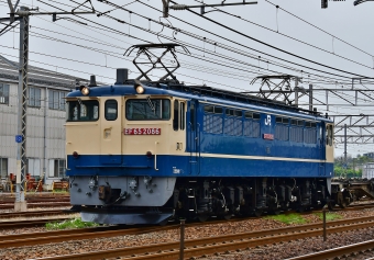 JR貨物 EF65形電気機関車 EF65-2086 鉄道フォト・写真 by m433さん 稲沢駅：2020年05月18日11時ごろ