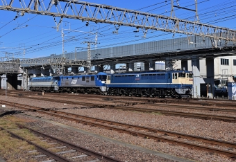 JR貨物 EF65形電気機関車 EF65-2087 鉄道フォト・写真 by m433さん 笠寺駅：2021年01月04日12時ごろ