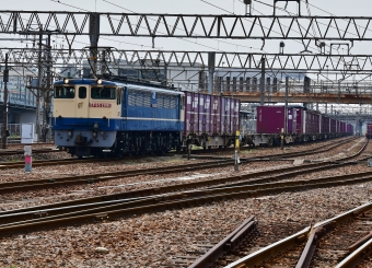 JR貨物 EF65形電気機関車 EF65-2091 鉄道フォト・写真 by m433さん 笠寺駅：2020年04月16日10時ごろ