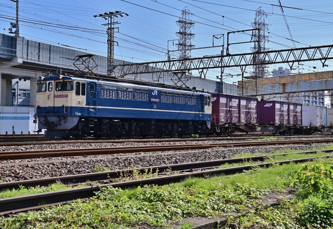 JR貨物 EF65形電気機関車 EF65-2097 鉄道フォト・写真 by m433さん 笠寺駅：2020年10月30日10時ごろ
