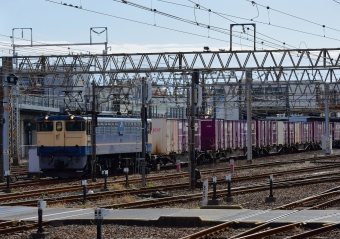 JR貨物 EF65形電気機関車 EF65-2101 鉄道フォト・写真 by m433さん 笠寺駅：2022年12月01日10時ごろ