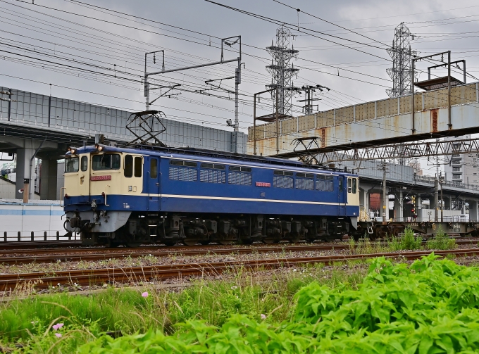 JR貨物 EF65形電気機関車 EF65-2139 鉄道フォト・写真 by m433さん 笠寺駅：2020年06月18日10時ごろ