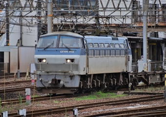 JR貨物 EF66形電気機関車（一次車） EF66 102 鉄道フォト・写真 by m433さん 笠寺駅：2020年07月01日09時ごろ