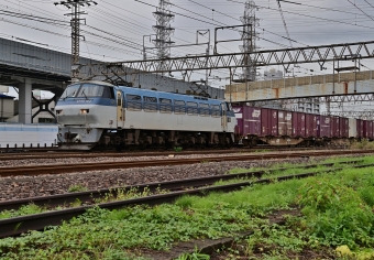 JR貨物 EF66形電気機関車（一次車） EF66 103 鉄道フォト・写真 by m433さん 笠寺駅：2020年10月23日14時ごろ