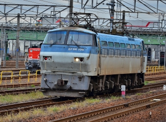 JR貨物 EF66形電気機関車（一次車） EF66 105 鉄道フォト・写真 by m433さん 稲沢駅：2016年11月30日10時ごろ