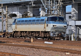 JR貨物 EF66形電気機関（一次車） EF66 108 鉄道フォト・写真 by m433さん 笠寺駅：2020年11月05日13時ごろ