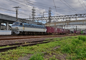 JR貨物 EF66形電気機関車（二次車） EF66 109 鉄道フォト・写真 by m433さん 笠寺駅：2020年11月10日14時ごろ