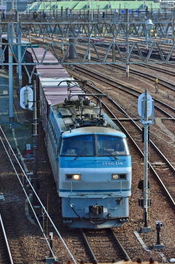 JR貨物 EF66形電気機関車（二次車） EF66 114 鉄道フォト・写真 by m433さん 笠寺駅：2014年03月27日14時ごろ