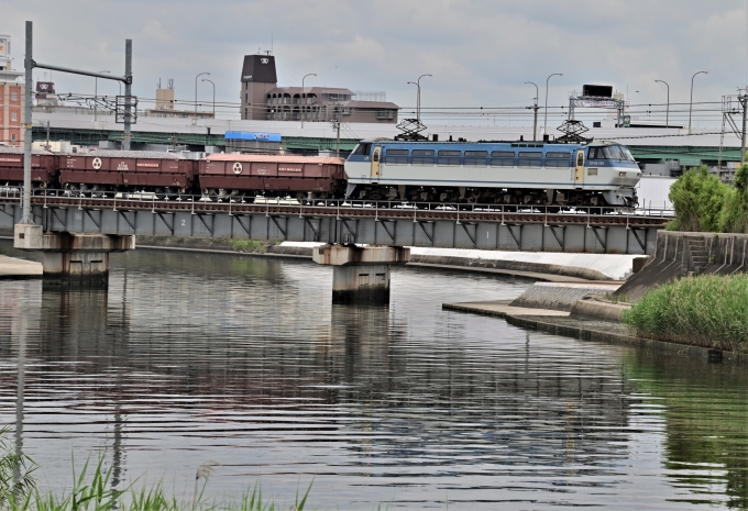 JR貨物 EF66形電気機関車（二次車） EF66 120 鉄道フォト・写真 by m433さん 笠寺駅：2021年06月02日10時ごろ