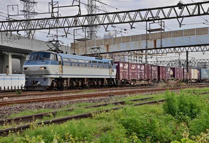 JR貨物 EF66形電気機関車（二次車） EF66 121 鉄道フォト・写真 by m433さん 笠寺駅：2020年11月13日14時ごろ