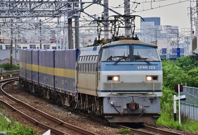 JR貨物 EF66形電気機関車（二次車） EF66 123 鉄道フォト・写真 by m433さん 枇杷島駅 (JR)：2020年07月28日12時ごろ