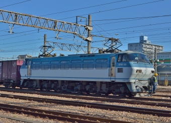 JR貨物 EF66形電気機関車（二次車） EF66 126 鉄道フォト・写真 by m433さん 稲沢駅：2016年01月09日09時ごろ