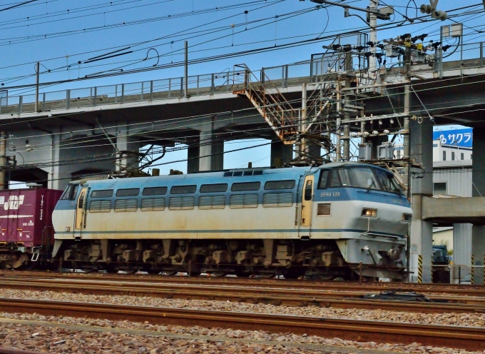 JR貨物 EF66形電気機関車（二次車） EF66 128 鉄道フォト・写真 by m433さん 笠寺駅：2014年03月27日14時ごろ