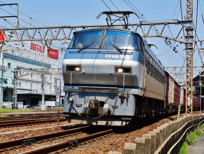 JR貨物 EF66形電気機関車（二次車） EF66 129 鉄道フォト・写真 by m433さん 笠寺駅：2017年05月22日10時ごろ