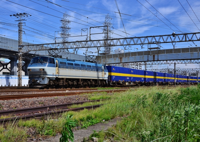 JR貨物 EF66形電気機関車（二次車） EF66 133 鉄道フォト・写真 by m433さん 笠寺駅：2019年05月21日14時ごろ