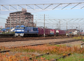 JR貨物 EF210形 EF210-11 鉄道フォト・写真 by m433さん ：2023年12月11日09時ごろ