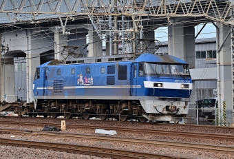 JR貨物 EF210形 EF210-106 鉄道フォト・写真 by m433さん 笠寺駅：2020年11月13日13時ごろ
