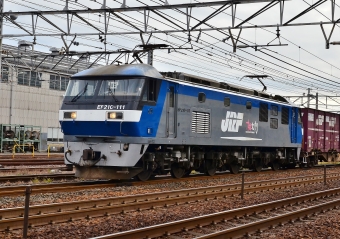JR貨物 EF210形 EF210-111 鉄道フォト・写真 by m433さん 笠寺駅：2016年11月30日10時ごろ