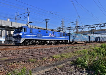 JR貨物 EF210形 EF210-116 鉄道フォト・写真 by m433さん 笠寺駅：2020年12月22日13時ごろ