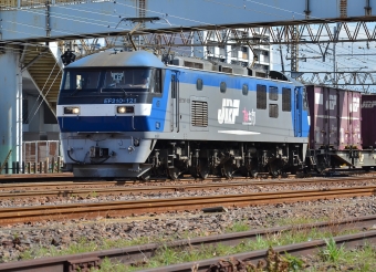 JR貨物 EF210形 EF210-121 鉄道フォト・写真 by m433さん 笠寺駅：2014年03月27日13時ごろ