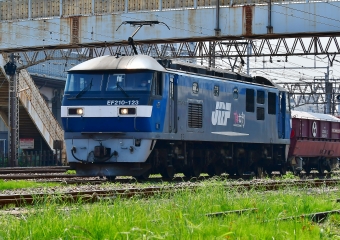 JR貨物 EF210形 EF210-123 鉄道フォト・写真 by m433さん 笠寺駅：2020年04月30日10時ごろ