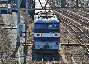 JR貨物 EF210形 EF210-137 鉄道フォト・写真 by m433さん 笠寺駅：2012年01月08日10時ごろ