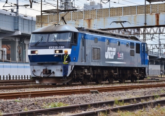 JR貨物 EF210形 EF210-150 鉄道フォト・写真 by m433さん 笠寺駅：2019年09月28日09時ごろ