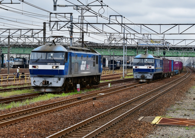 JR貨物 EF210形 EF210-163 鉄道フォト・写真 by m433さん 稲沢駅：2020年05月19日10時ごろ
