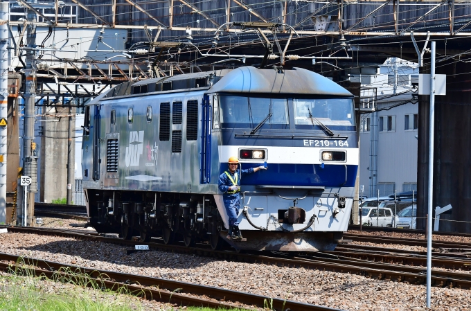 JR貨物 EF210形 EF210-164 鉄道フォト・写真 by m433さん 稲沢駅：2017年05月22日09時ごろ