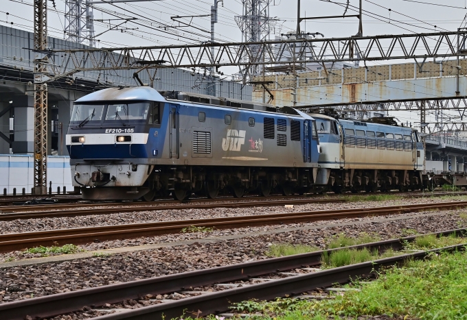 JR貨物 EF210形 EF210-165 鉄道フォト・写真 by m433さん 笠寺駅：2020年08月07日09時ごろ