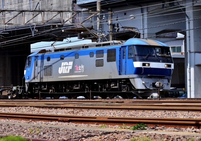 JR貨物 EF210形 EF210-166 鉄道フォト・写真 by m433さん 笠寺駅：2019年05月21日13時ごろ
