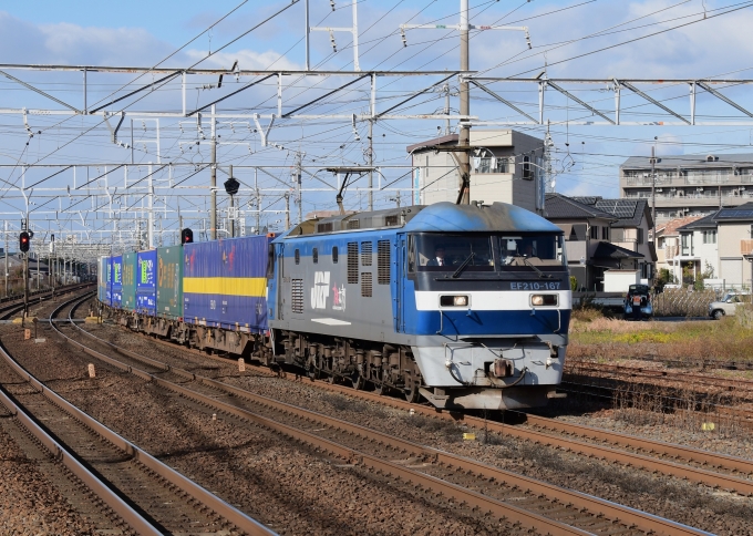 JR貨物 EF210形 EF210-167 鉄道フォト・写真 by m433さん ：2023年12月20日13時ごろ