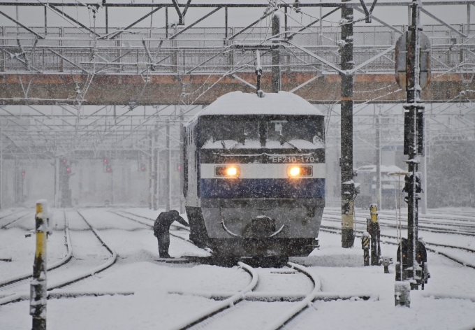 JR貨物 EF210形 EF210-170 鉄道フォト・写真 by m433さん 笠寺駅：2022年12月24日08時ごろ