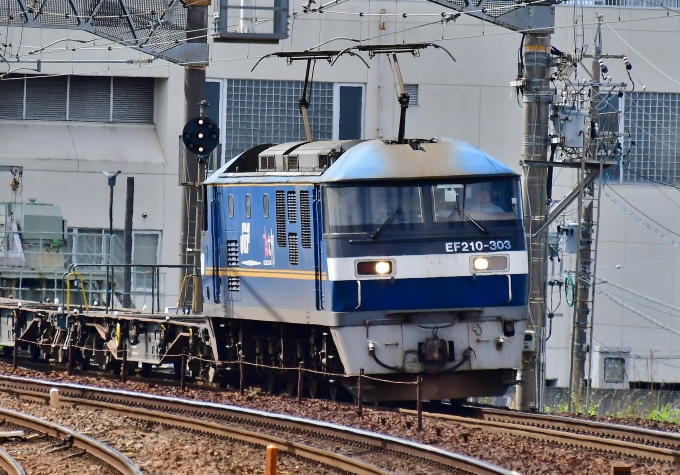 JR貨物 EF210形 EF210-303 鉄道フォト・写真 by m433さん 枇杷島駅 (JR)：2020年05月21日14時ごろ