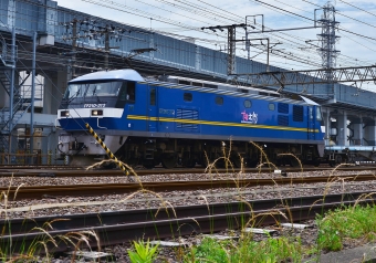 JR貨物 EF210形 EF210-312 鉄道フォト・写真 by m433さん 笠寺駅：2020年05月26日09時ごろ