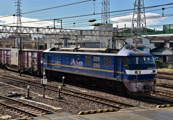 JR貨物 EF210形 EF210-312 鉄道フォト・写真 by m433さん 笠寺駅：2020年11月23日09時ごろ