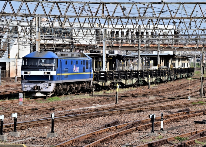 JR貨物 EF210形 EF210-314 鉄道フォト・写真 by m433さん 笠寺駅：2021年06月11日16時ごろ