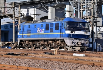 JR貨物 EF210形 EF210-317 鉄道フォト・写真 by m433さん 笠寺駅：2020年11月23日14時ごろ