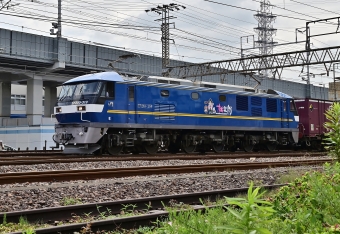 JR貨物 EF210形 EF210-319 鉄道フォト・写真 by m433さん 笠寺駅：2020年07月31日10時ごろ