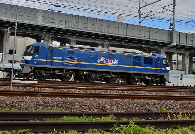 JR貨物 EF210形 EF210-325 鉄道フォト・写真 by m433さん 笠寺駅：2020年11月10日13時ごろ