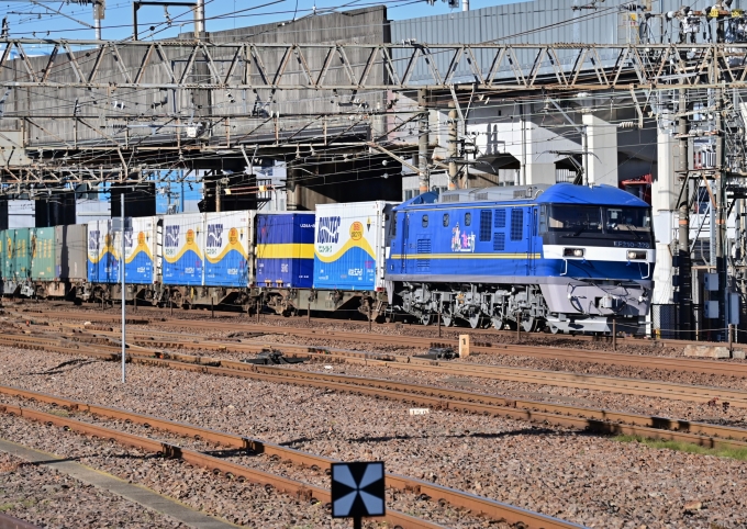 JR貨物 EF210形 EF210-328 鉄道フォト・写真 by m433さん 笠寺駅：2020年12月17日14時ごろ