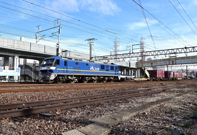 JR貨物 EF210形 EF210-333 鉄道フォト・写真 by m433さん 笠寺駅：2022年01月25日14時ごろ